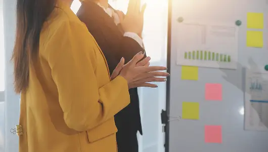 Planificación Integrada y Control de Proyectos (IPS)
